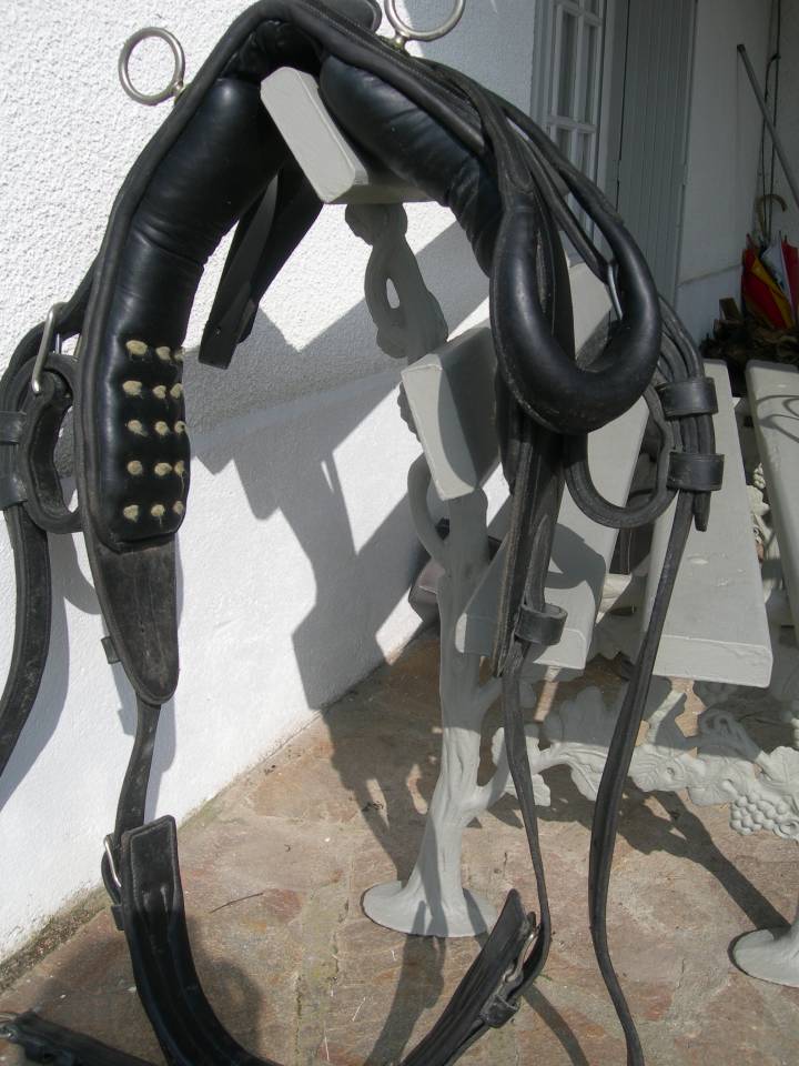 Calèche cheval ancienne et harnais cuir complet