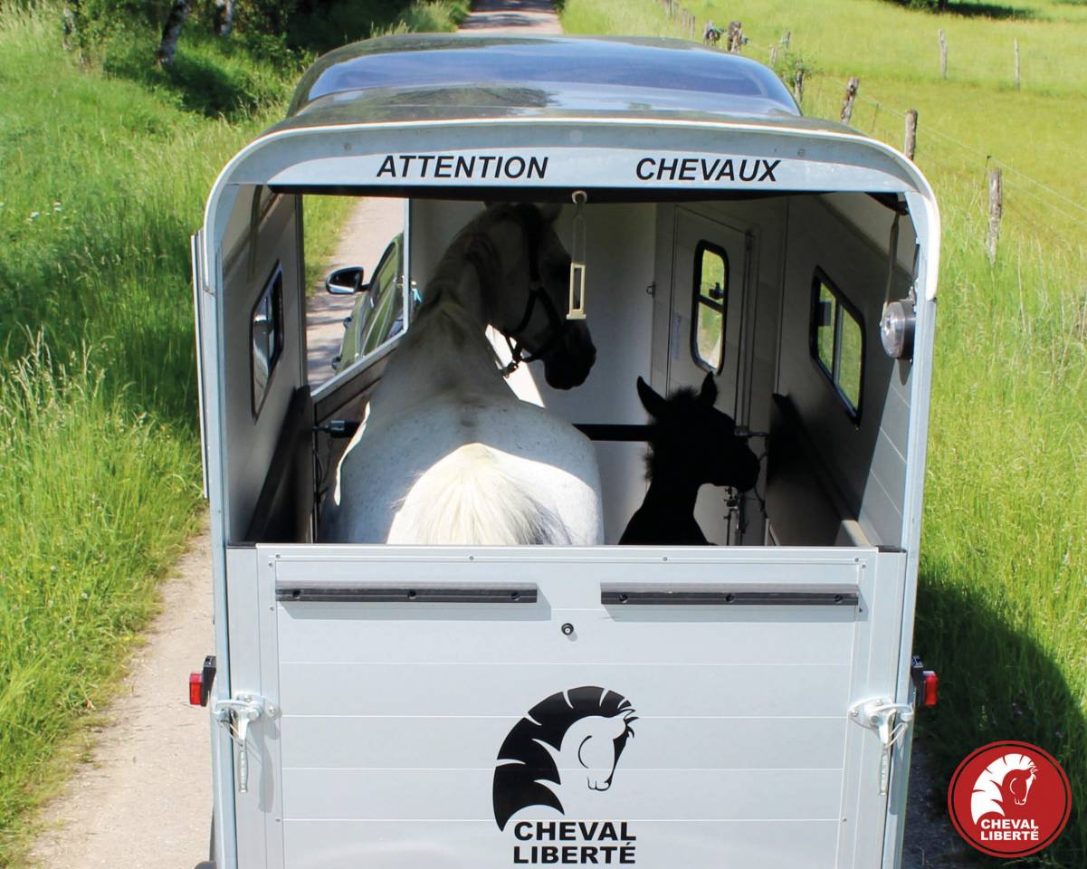 CHEVAL LIBERTÉ TOURING ONE