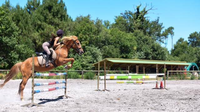 Stage DERBY adult perfectionnement CSO et CROSS