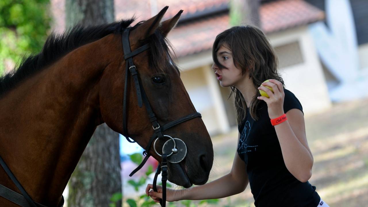 Stage DERBY adult perfectionnement CSO et CROSS