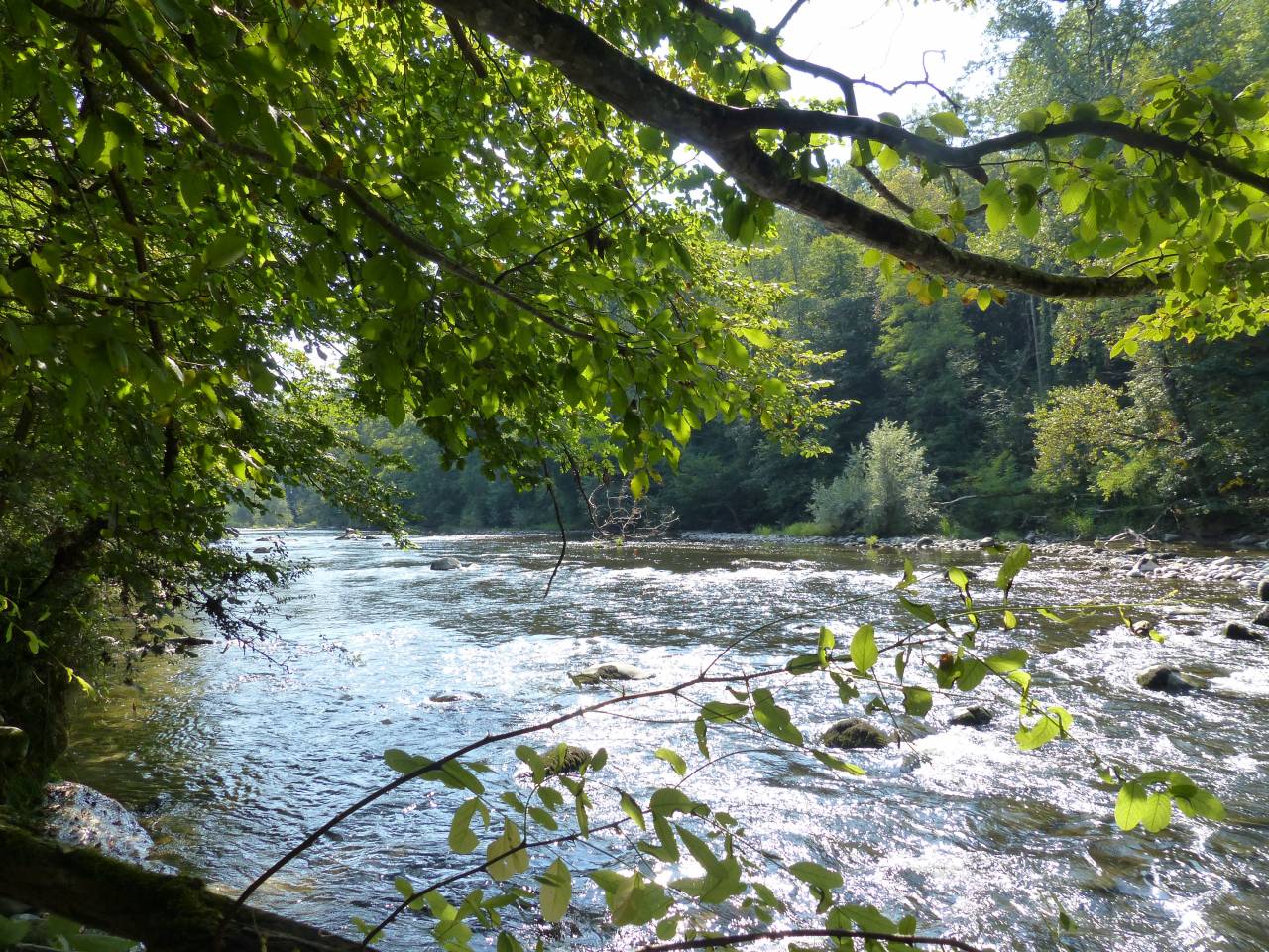 Propriété agricole avec dépendances sur 4 ha – Annecy