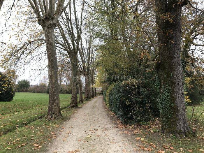 Joli Manoir du XIIe siècle sur 39 ha