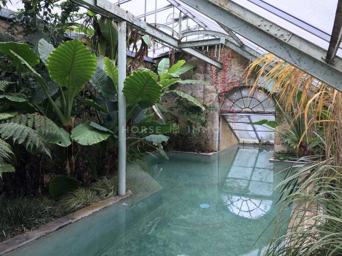 Joli Manoir du XIIe siècle sur 39 ha