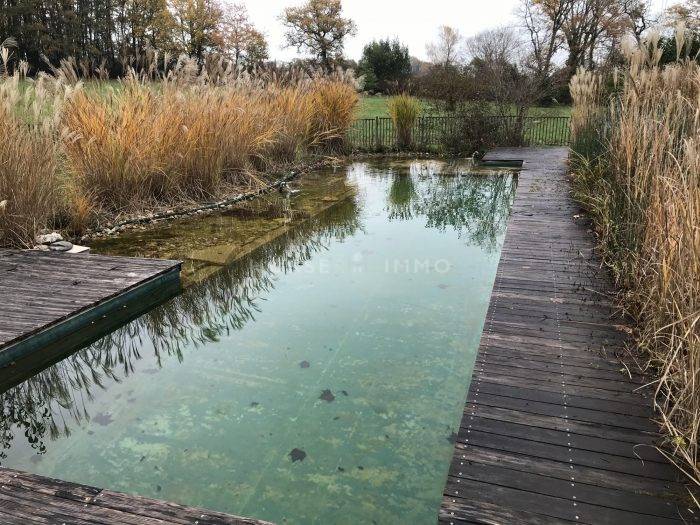 Joli Manoir du XIIe siècle sur 39 ha