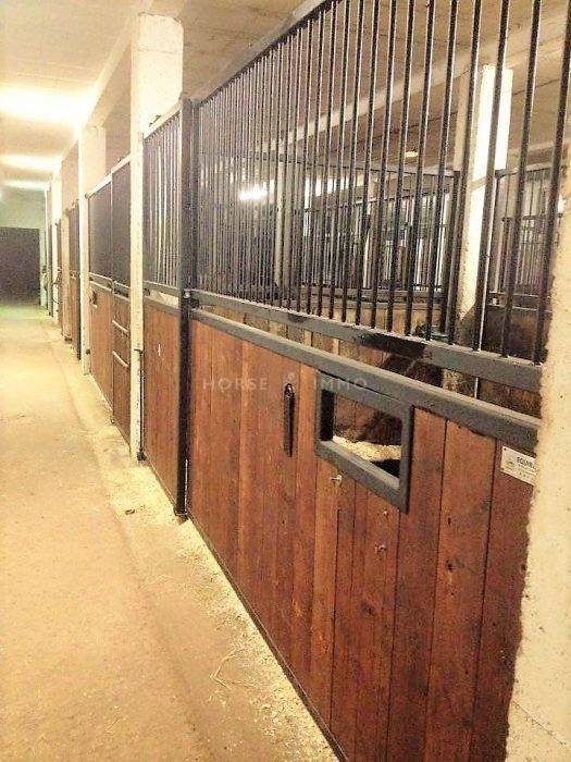 Centre équestre / Poney-club / Écurie de propriétaires en act