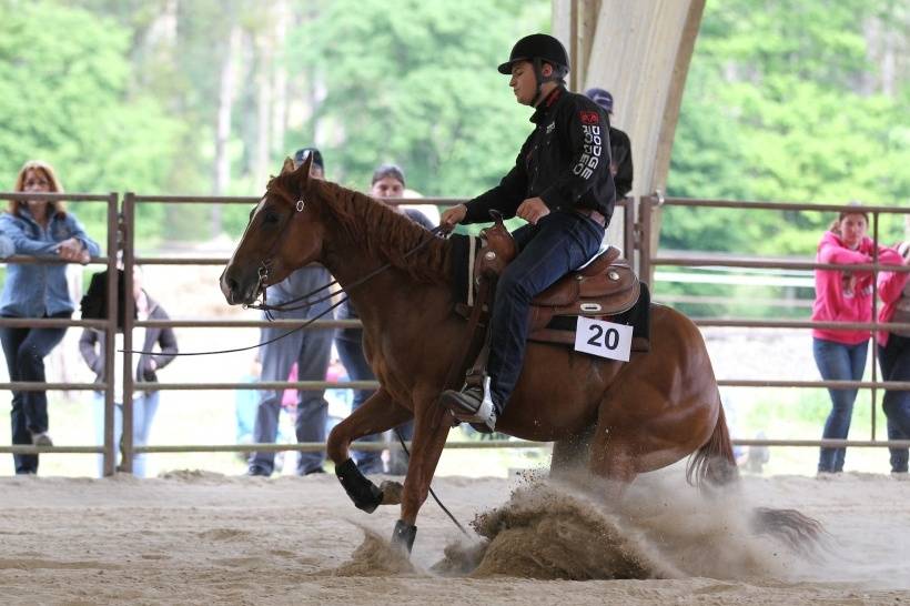 DOUBLE T FARM : centre &eacute;questre western et pensions 