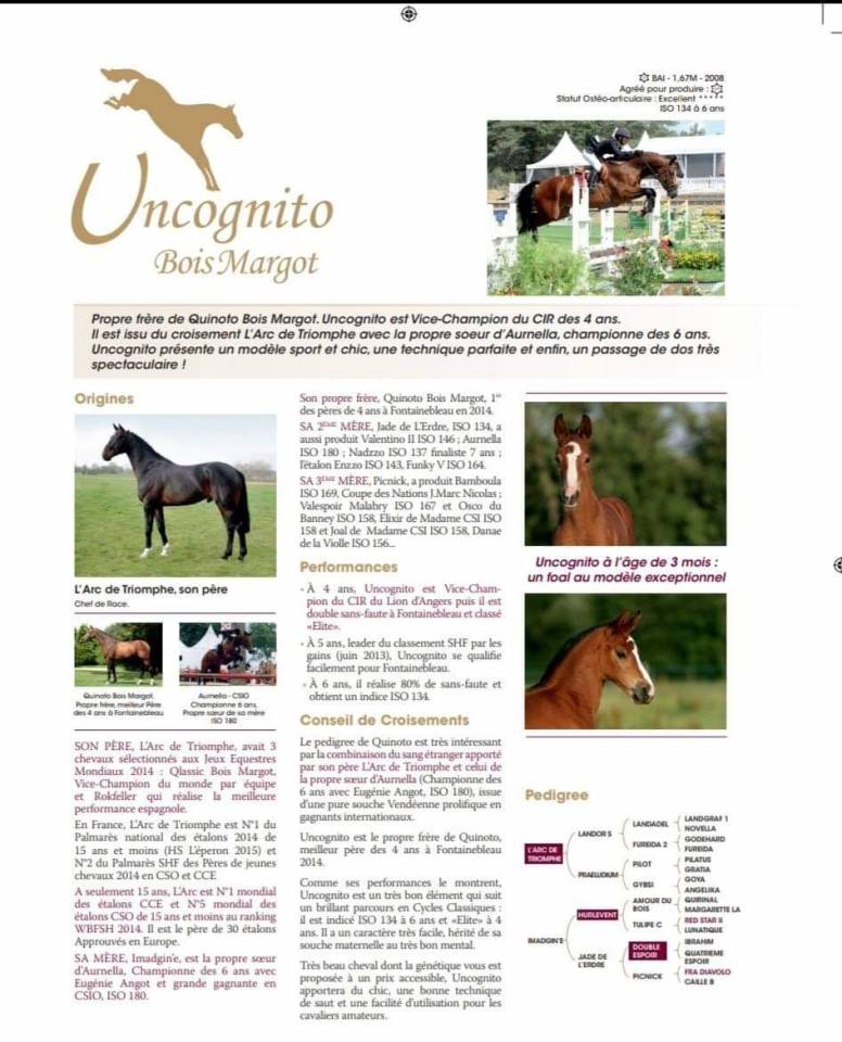 Uncognito bois margot 