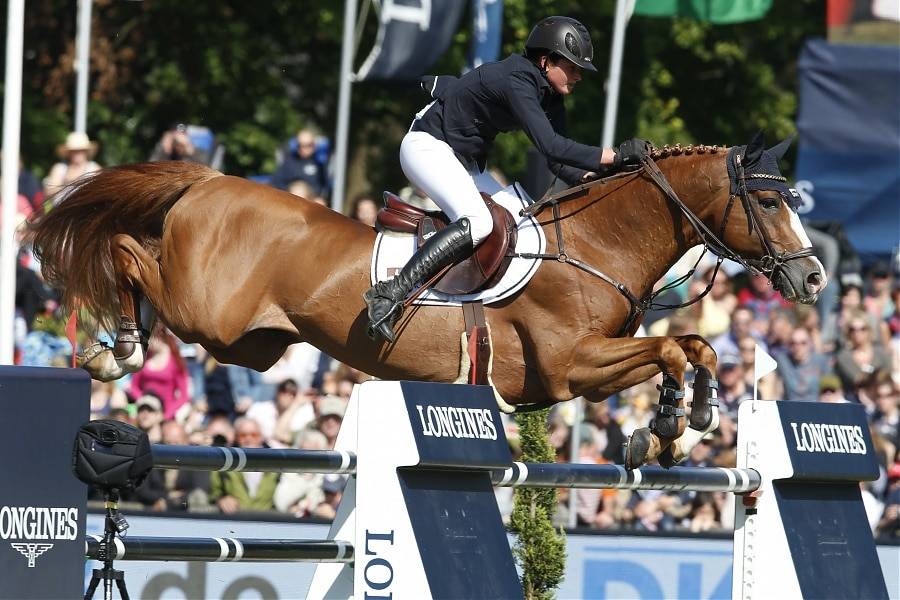 Firth of Lorne - 2004 - 1M67 - Hanno