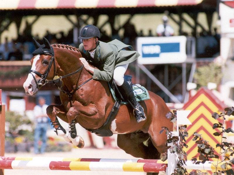 For Pleasure - Alezan - 1M67 - HANN