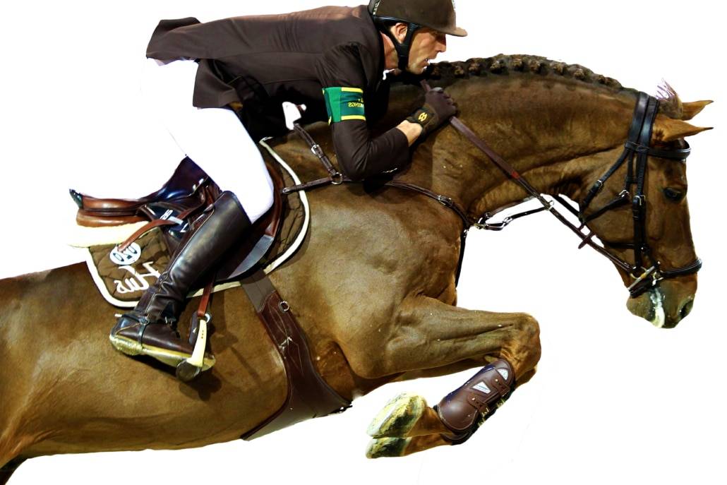 Gastronom de Hus - 1999 - Alezan - 1M71 - Zang