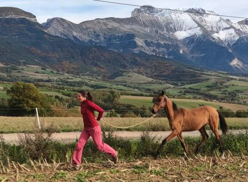 Jennet, ma gazelle des steppes turkmènes !