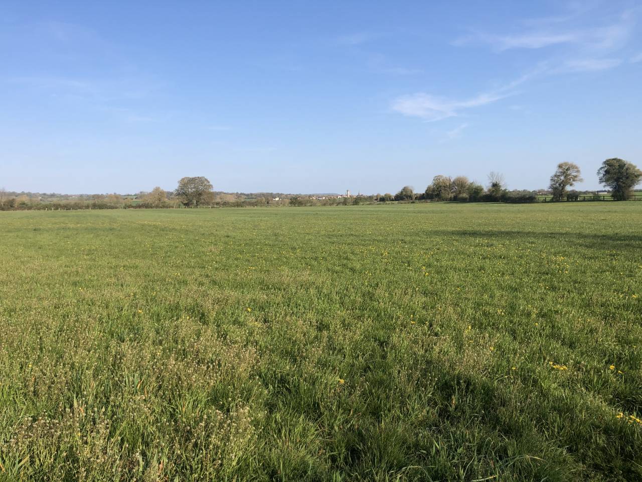 CENTRE D'ENTRAINEMENT - PROCHE HARAS DU PIN (61)