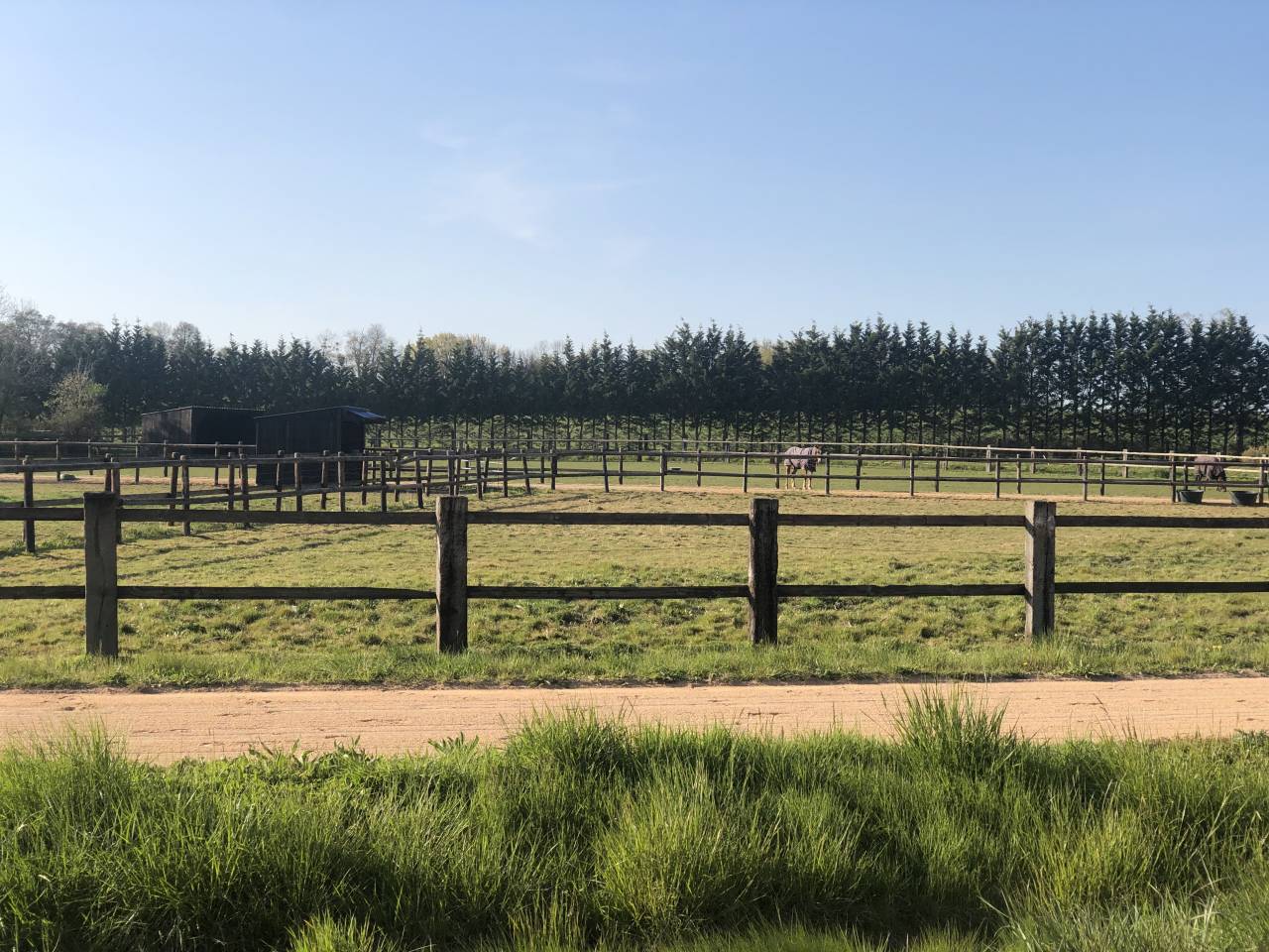 CENTRE D'ENTRAINEMENT - PROCHE HARAS DU PIN (61)