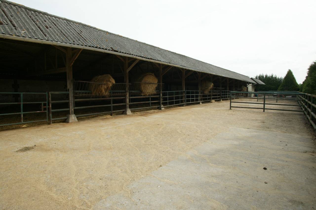 HARAS - 77 ha - NORMANDIE - Proche d'Orbec (14)
