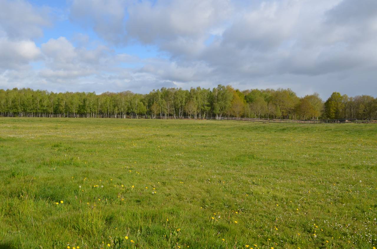 HARAS - 77 ha - NORMANDIE - Proche d'Orbec (14)