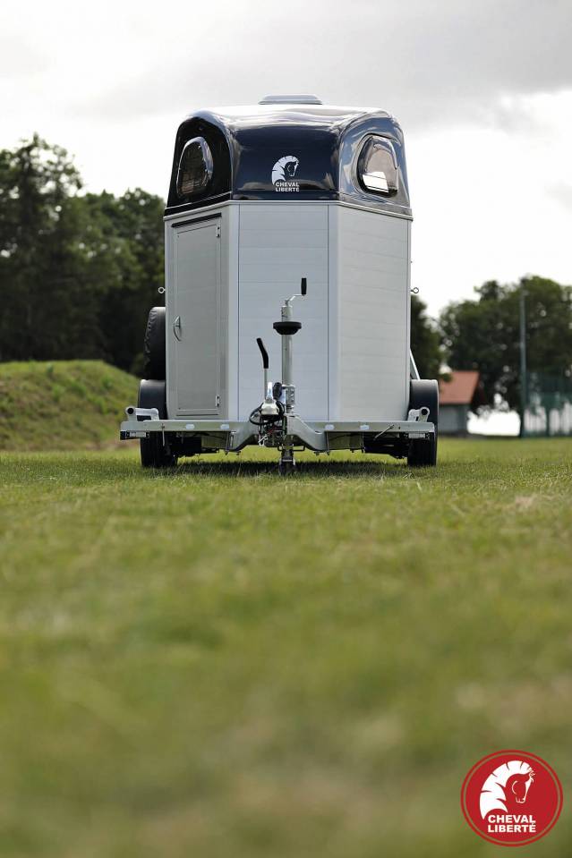 Vans Gold Hippomobile