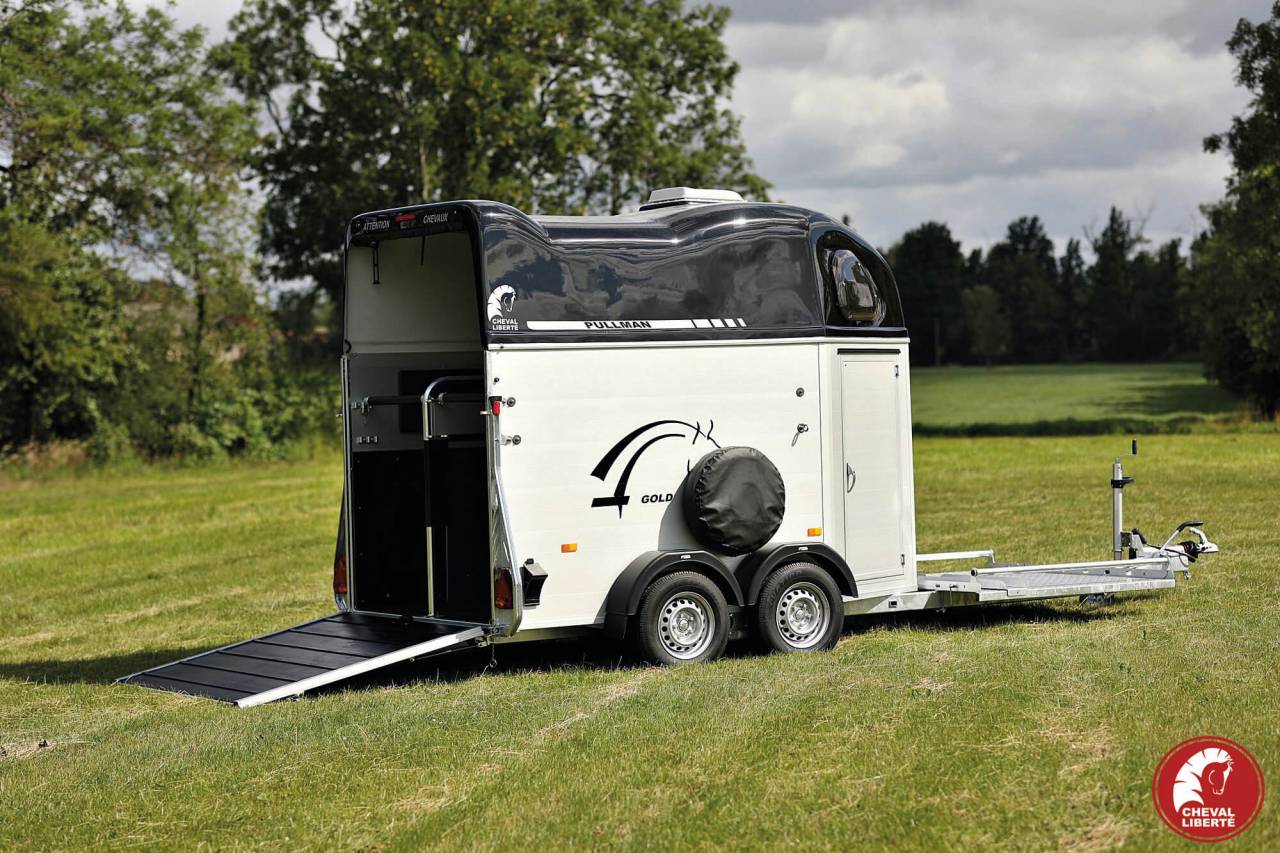 Vans Gold Hippomobile