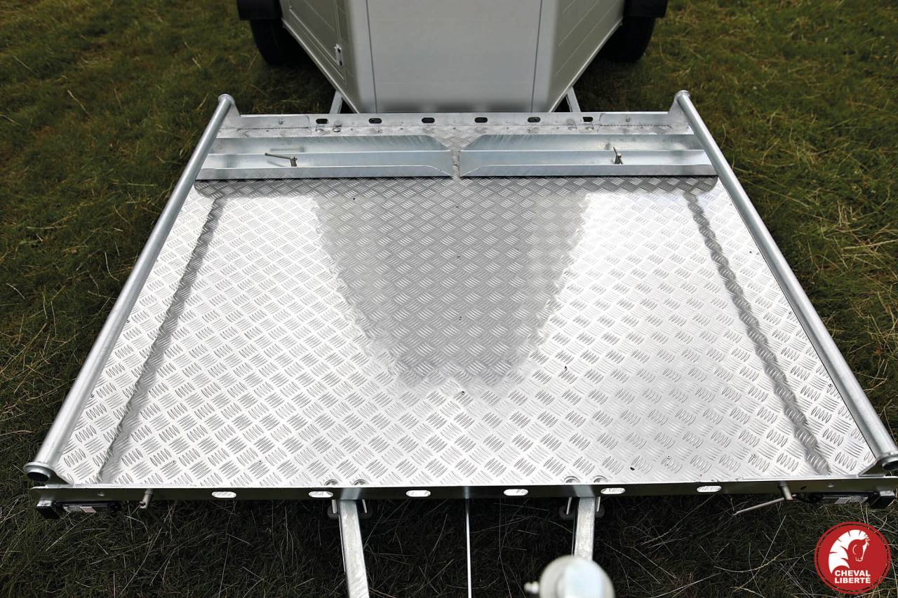 Vans Gold Hippomobile