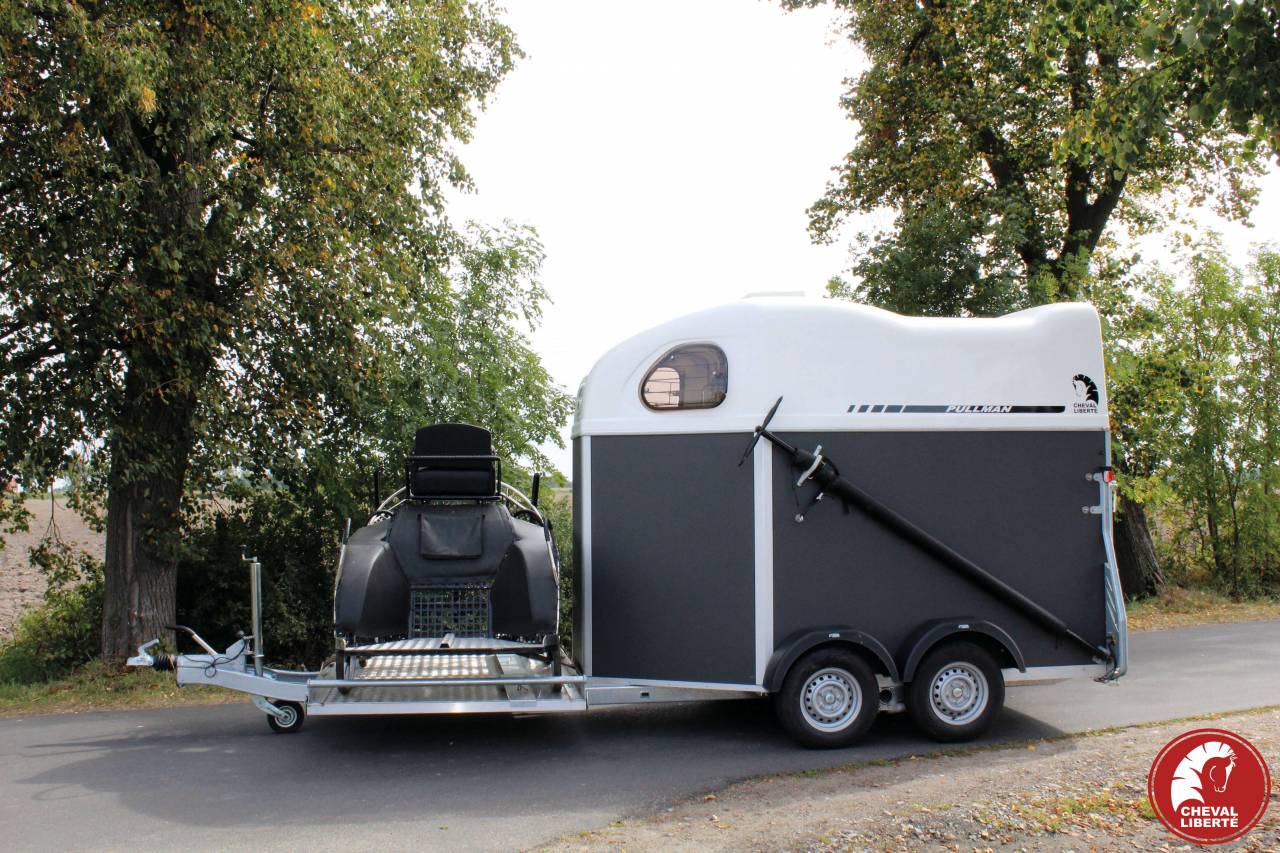 Vans Gold Hippomobile