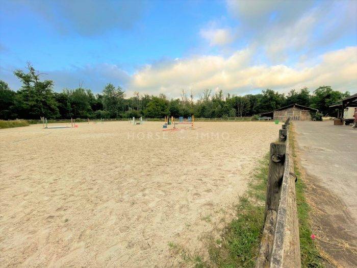 Propriété équestre sur 30 hectares à 10 mn du Grand Parquet