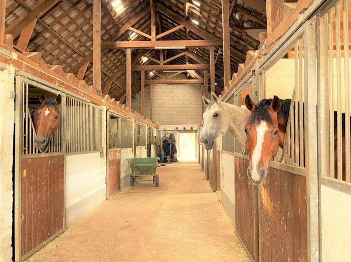 Propriété équestre sur 30 hectares à 10 mn du Grand Parquet