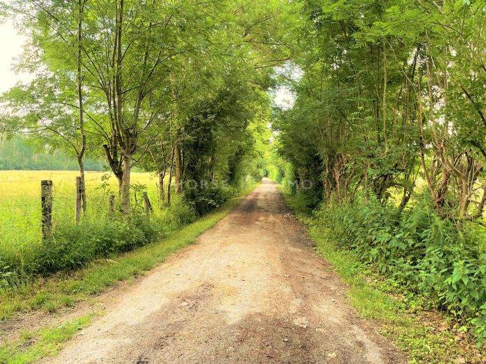 Propriété équestre sur 30 hectares à 10 mn du Grand Parquet