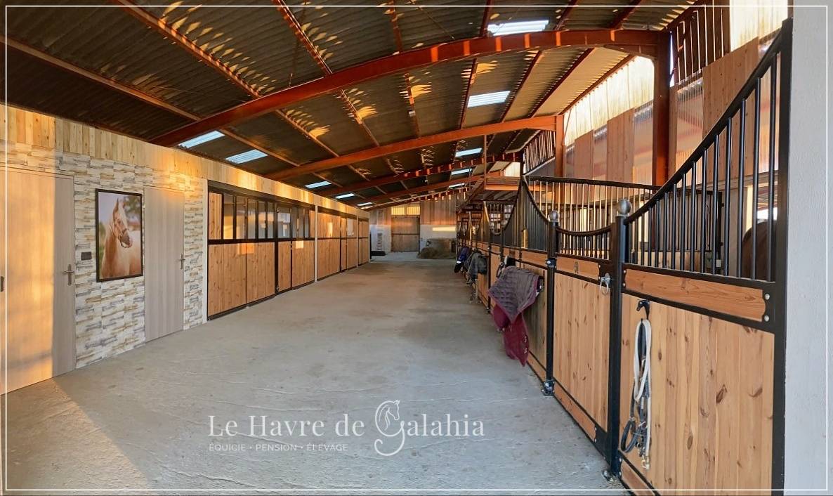 Écurie active / alternative dans l'Ain