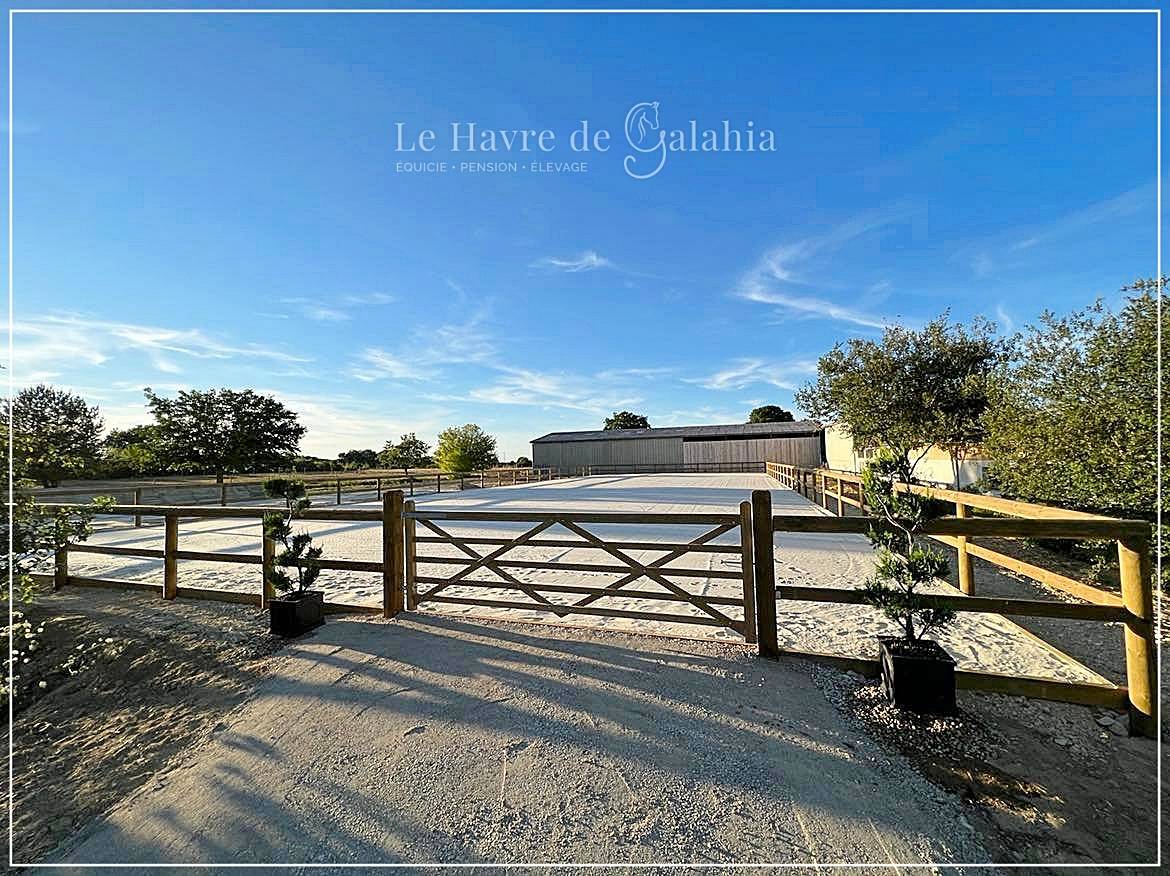 Écurie active / alternative dans l'Ain