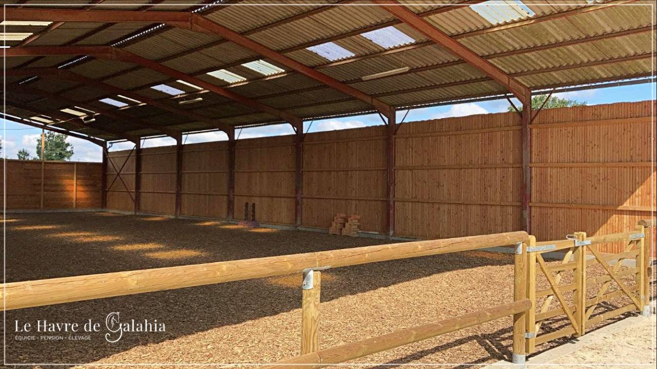 Écurie active / alternative dans l'Ain