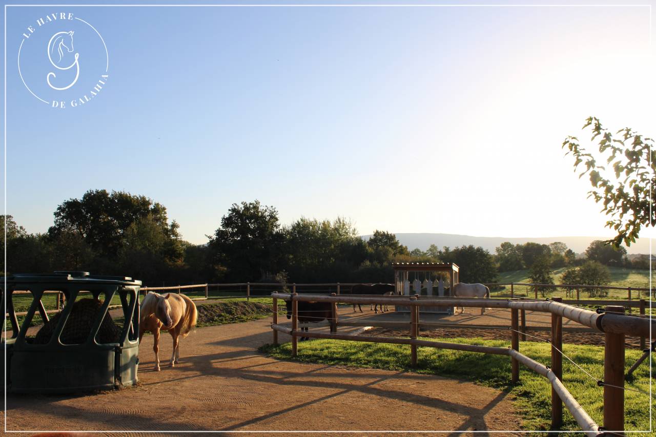 Écurie active / alternative dans l'Ain