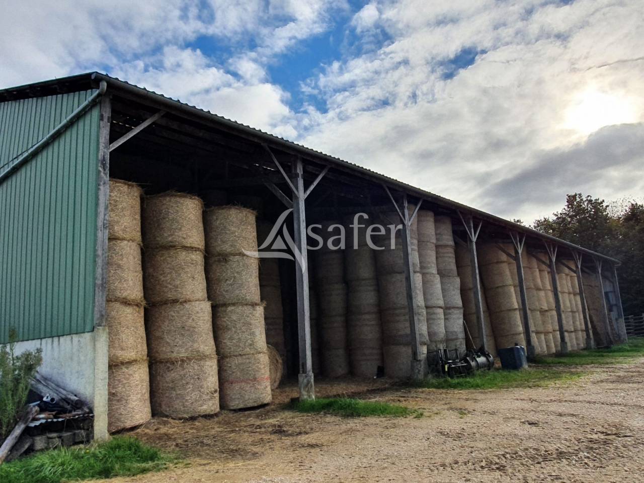 Exploitation Agricole spécialisée en polyculture-élevage_SAU