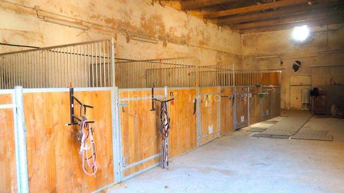 Domaine languedocien avec installations équestres