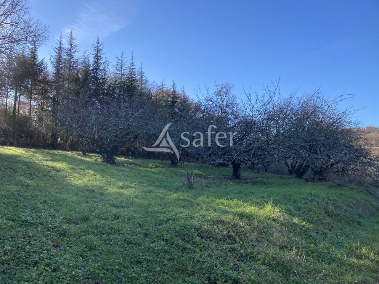 Domaine de caract&egrave;re &agrave; r&eacute;nover sur 17ha