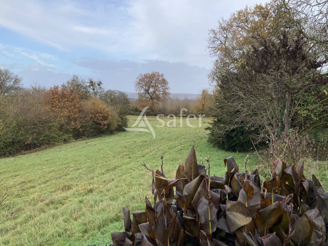 Domaine de caract&egrave;re &agrave; r&eacute;nover sur 17ha