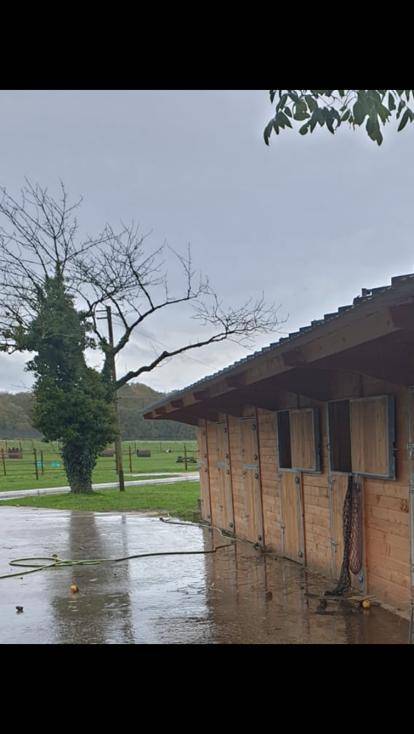 Pension chevaux - Écurie Denogent (Coinsins)