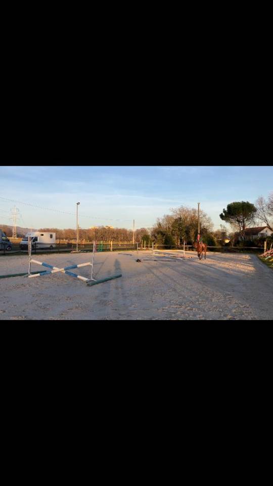 Pension chevaux - Écurie Denogent (Coinsins)