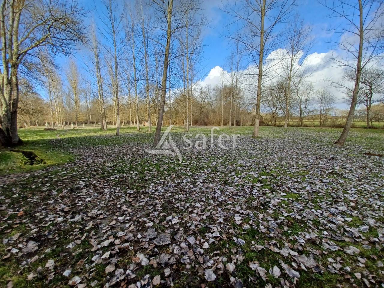 Lieu de Vie de Caract&egrave;re avec G&icirc;te et Moulin