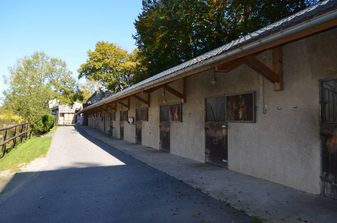 Haras - 53 ha - Normandie - Région Argentan (Orne)
