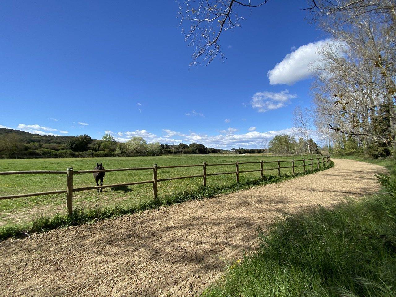 Écurie moderne en plein coeur de la Provence (30)