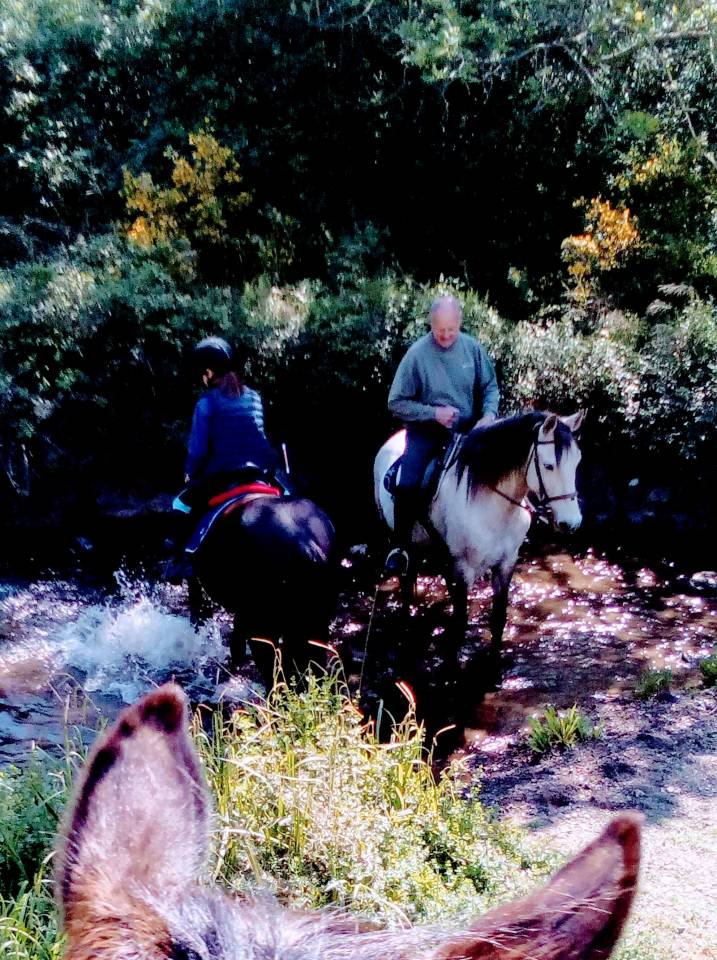 Gîte équestre 9 places avec piscine dans le sud