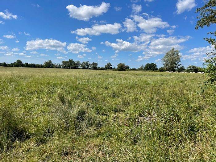 Terrain de 11 hectares avec partie constructible