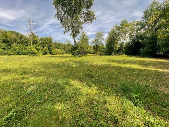 Propriété avec Installations Equestres à 10 mn de Fontaineble