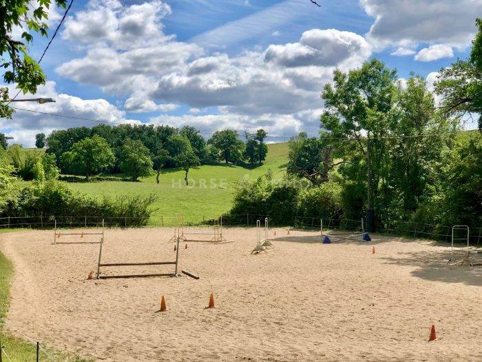 Propriété équestre prox Roanne