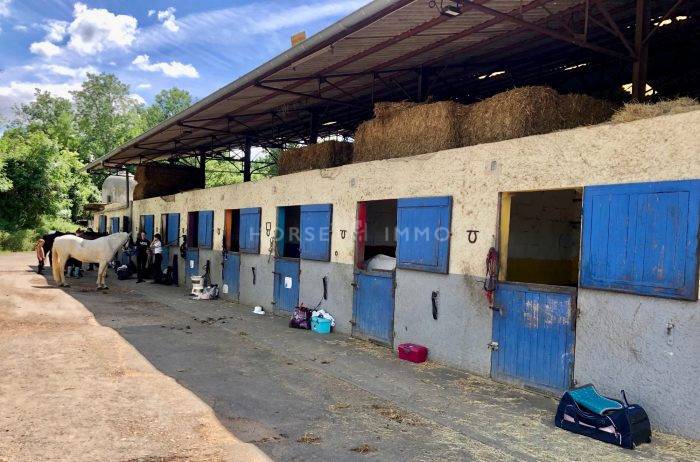 Propriété équestre prox Roanne