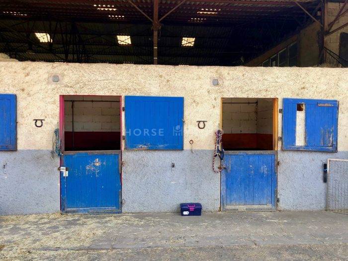 Propriété équestre prox Roanne