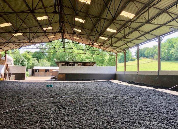 Propriété équestre prox Roanne