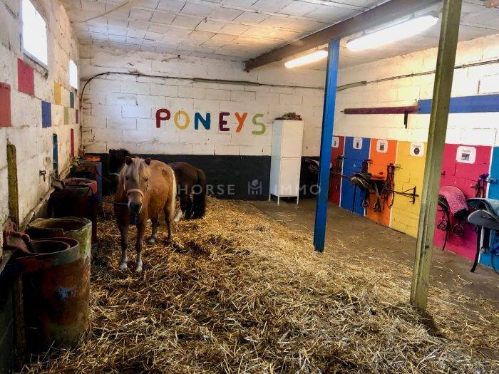 Propriété équestre prox Roanne