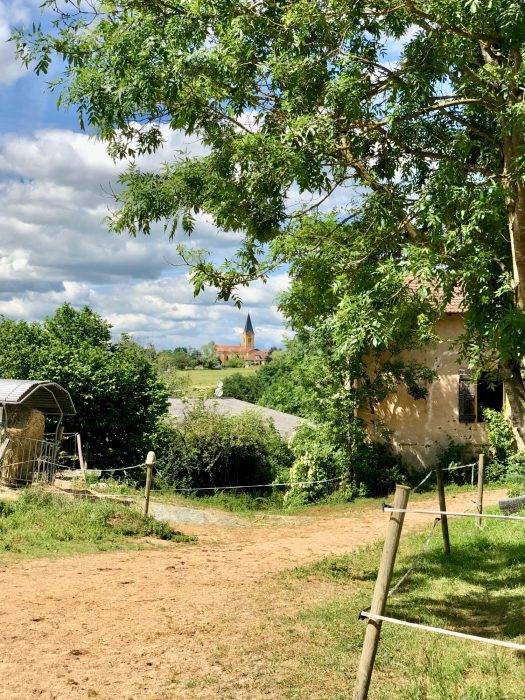 Propriété équestre prox Roanne