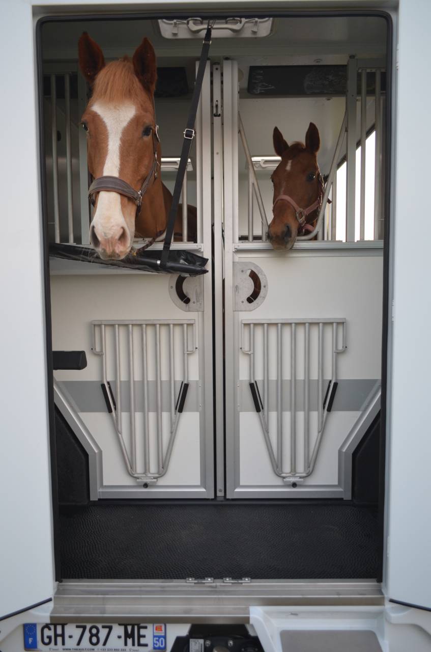 Location camion pour chevaux proche DIJON