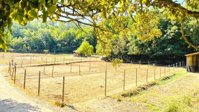 Très beau domaine équestre sur 8 hectares